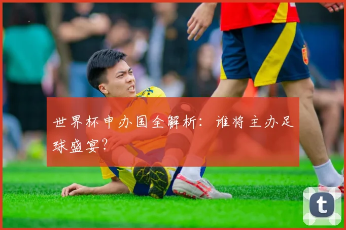世界杯申办国全解析：谁将主办足球盛宴？